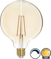 Led filament E27 globe lamp 6 Watt, dim to warm (3000K-2000K), dimbaar tot 0%, 800 lumen - Ø125mm
