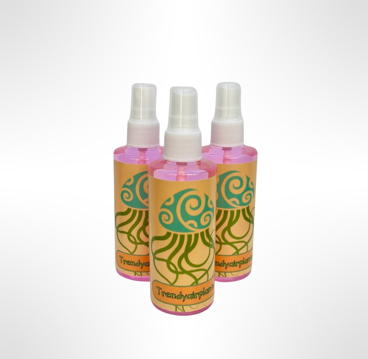 Set van 3 Airplantspray Flesjes – 100 ml Verzorgingsspray voor Tillandsia Luchtplantjes – Voedende Plantenspray – Trendyairplants