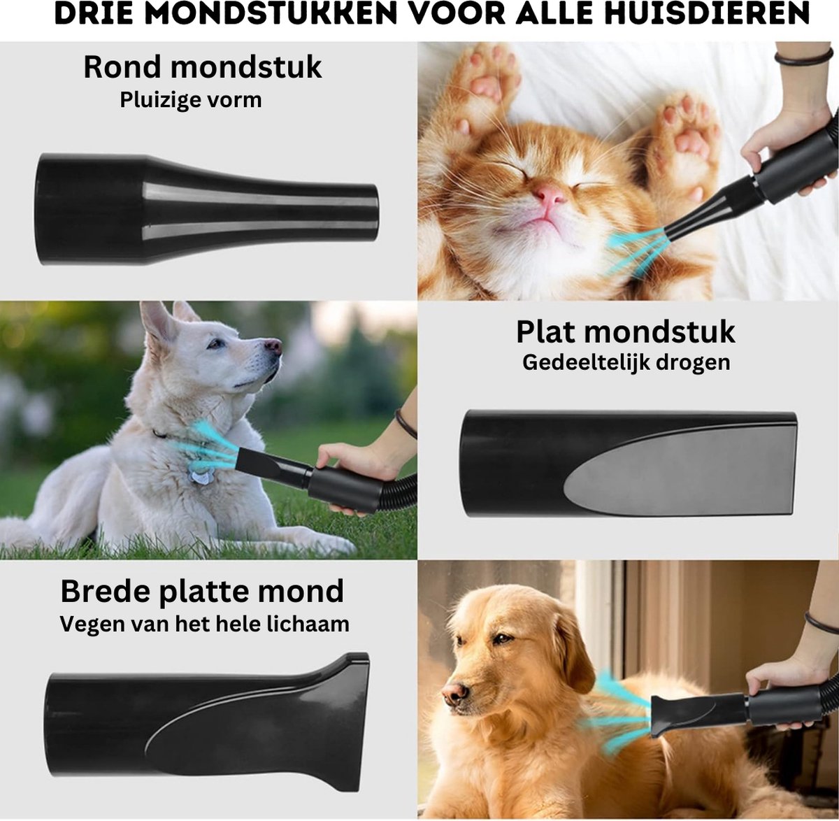 Hondenfohn - Professionele Hondenföhn met Instelbare Snelheid, 2800 W Power, Blauw Design