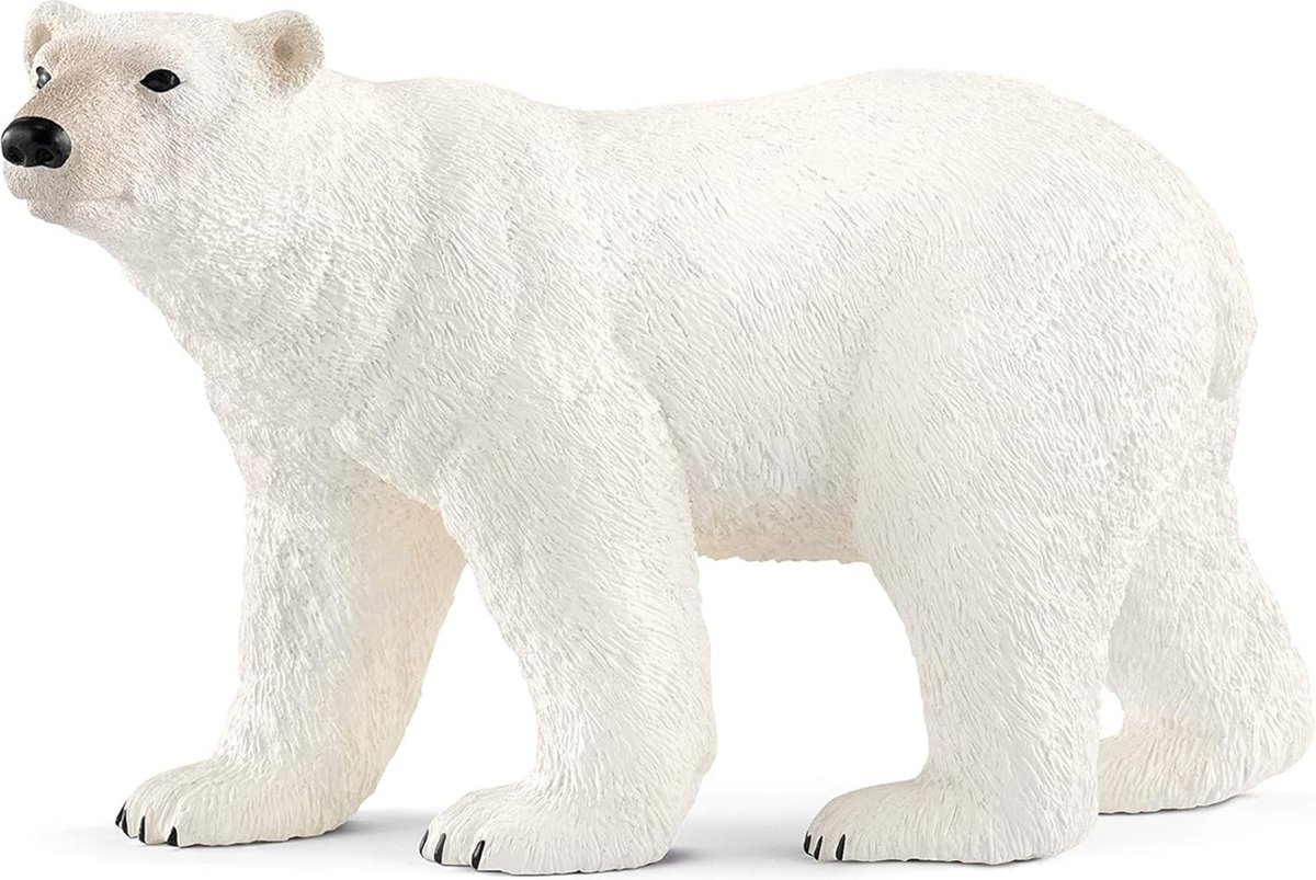 schleich WILD LIFE - Ijsbeer - Speelfiguur - Kinderspeelgoed voor Jongens en Meisjes - 3 tot 8 jaar - 14800 — afbeelding 4