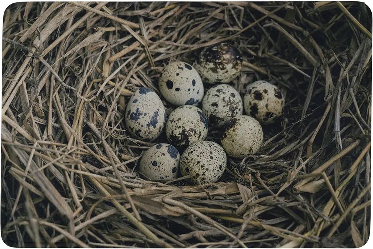 deurmat eieren in nest 75x50cm