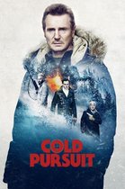 Cold Pursuit (DVD)