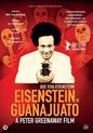 Eisenstein In guanajuato (DVD)