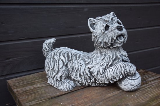 Westie. Mooi weerbestendig betonnen tuinbeeld voor in uw tuin