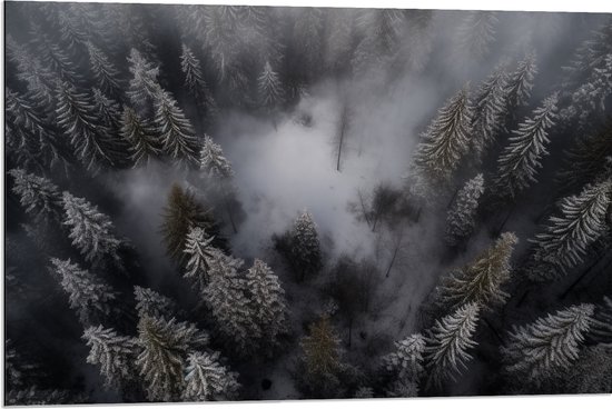 Dibond - Bomen - Bos - Sneeuw - Bovenaanzicht - 90x60 cm Foto op Aluminium (Met Ophangsysteem)