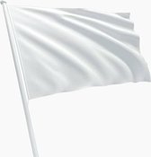 VlagDirect - Witte vlag - Overgave vlag - Vrede vlag - Wapenstilstand vlag - 90 x 150 cm.