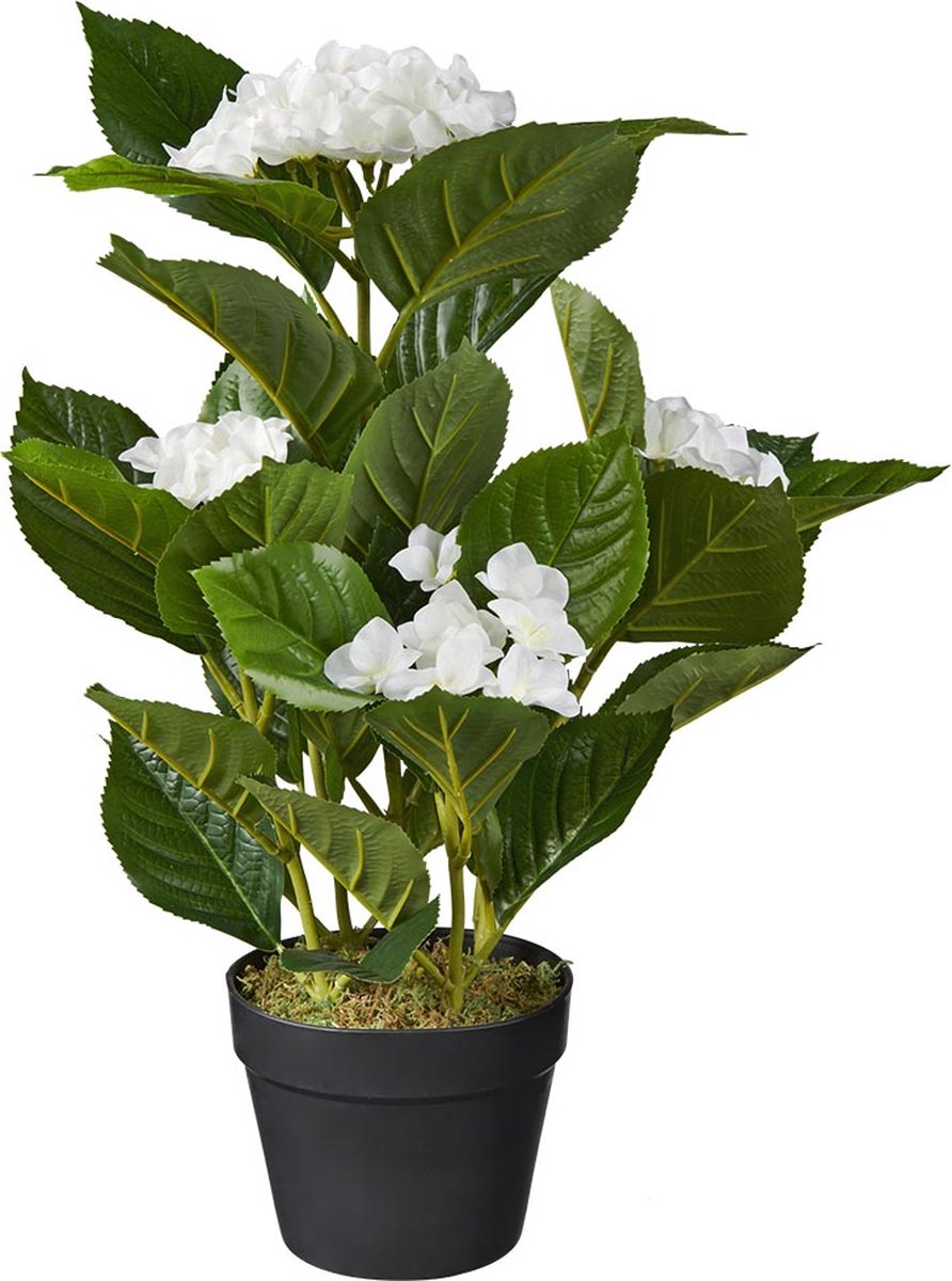 Kunstplant Hortensia wit H60cm - HTT Decorations kunstplanten