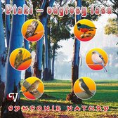 Odgłosy Lasu - Ptaki 432 Hz [CD]