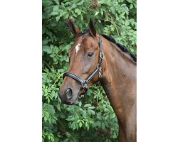 Horka Halster Leer Zwart-zilver - paard