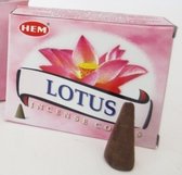Wierook kegeltjes Lotus