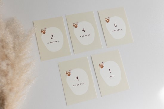 20x hippe baby mijlpaalkaartjes (A6 formaat) - milestone baby cards - cadeau zwangerschap - kado zwangerschap - babyshower cadeau - hoera zwanger - zwangerschapsverlof - kraamcadeaus - mijlpaalkaarten baby - baby kado - baby cadeau van KraamzorgShop — afbeelding 3