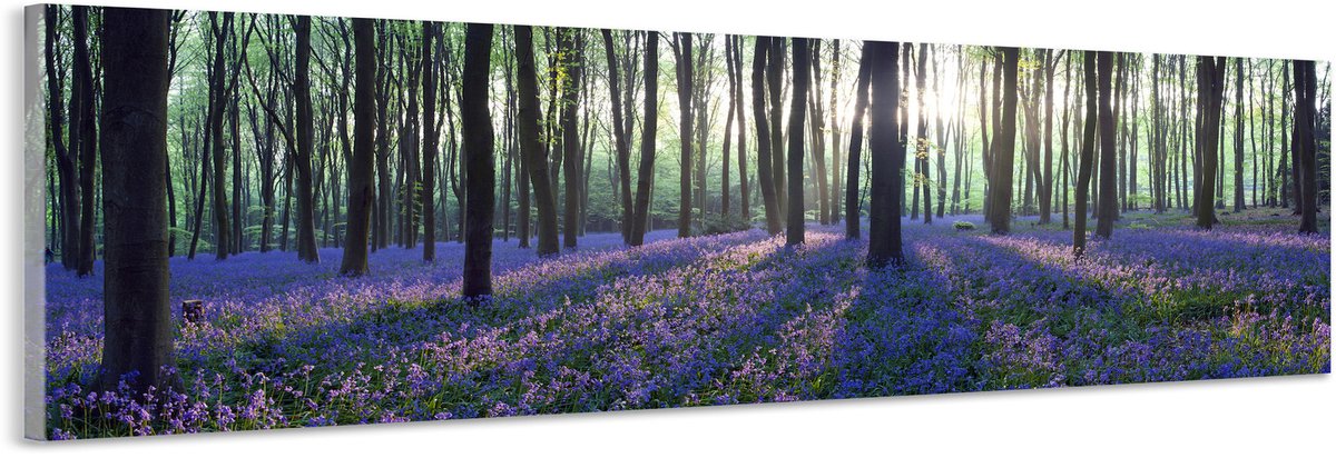 karo-art Schilderij -Lavendel in het bos, 120x40cm. Wanddecoratie, premium print Multikleur
