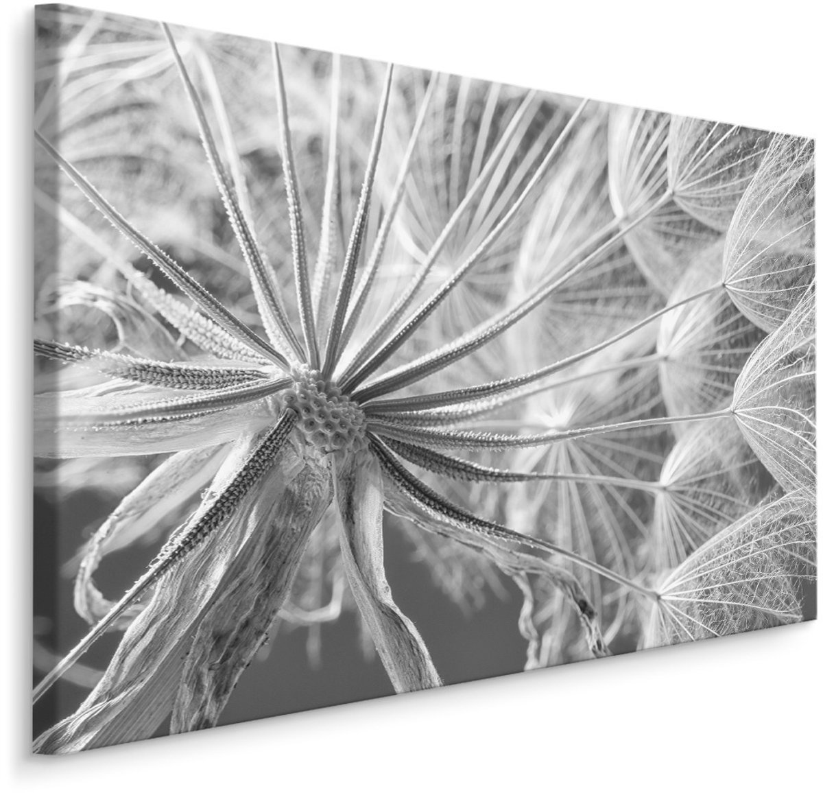 karo-art Schilderij - Close up van een Paardenbloem , Wanddecoratie , Premium print Multikleur