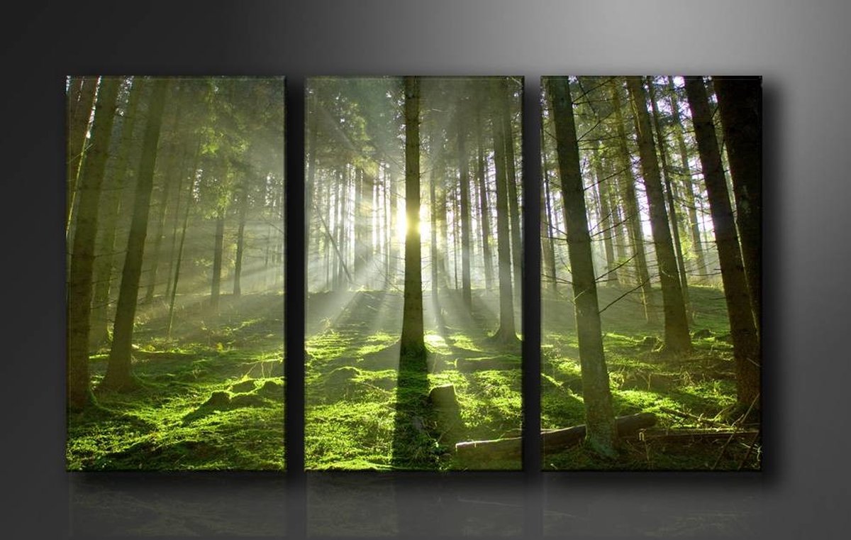 Foto Prent Canvas Schilderijen (Wanddecoratie woonkamer / slaapkamer) - Schilderij Bos Groen - 160 x 90 cm Drieluik