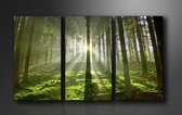 Tableau Photo Tableaux (Décoration murale salon / chambre) - Peinture Vert Forêt - 160 x 90 cm Triptyque