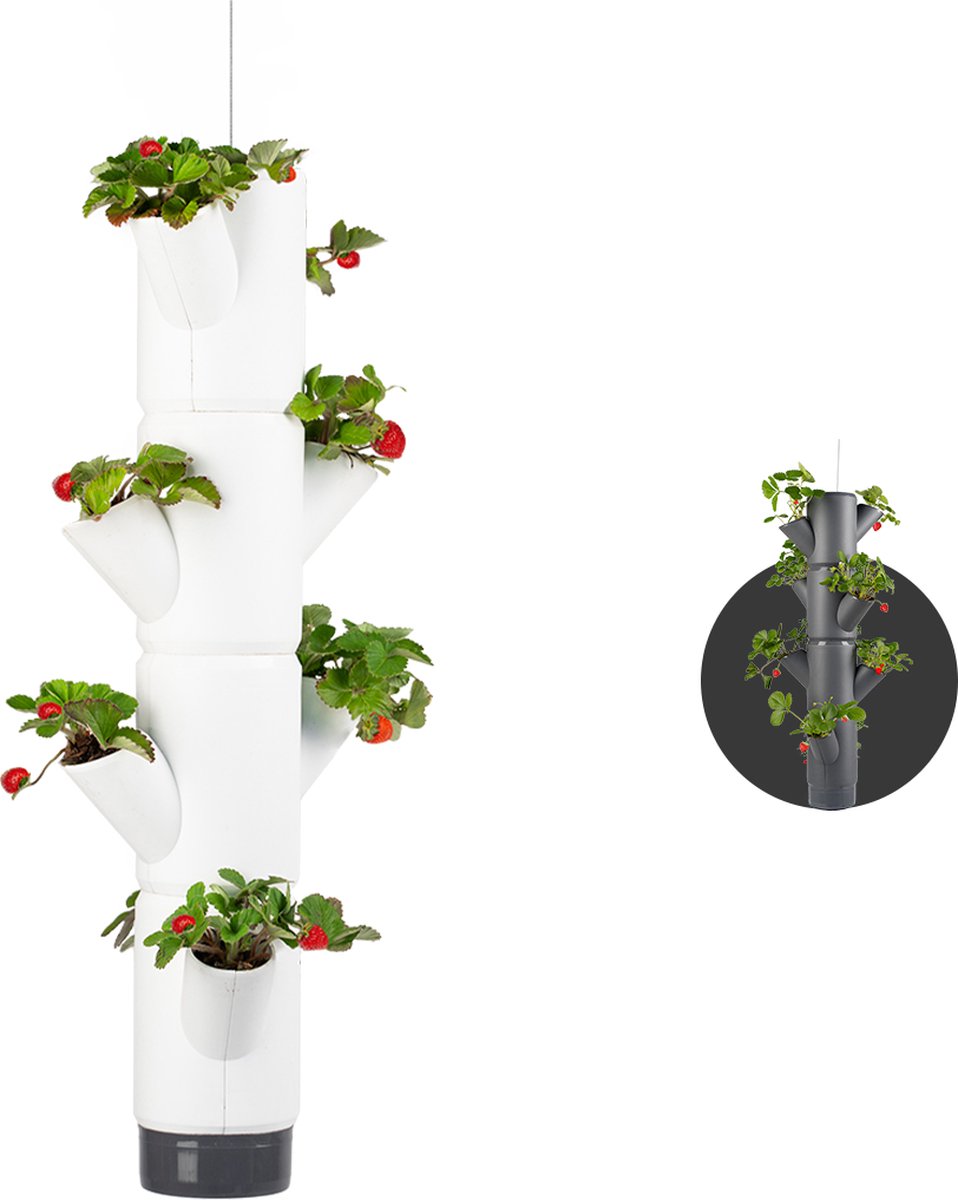 Gusta Garden - Sissi Strawberry - Aardbeien Planten - Aardbeienzak - Kweekbak - Kweektafel - Plantentoren met 4 Levels - Hangend Wit