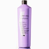KayPro No yellow gigs 1000 ml - shampooing argenté - shampooing argenté - pour tous types de cheveux