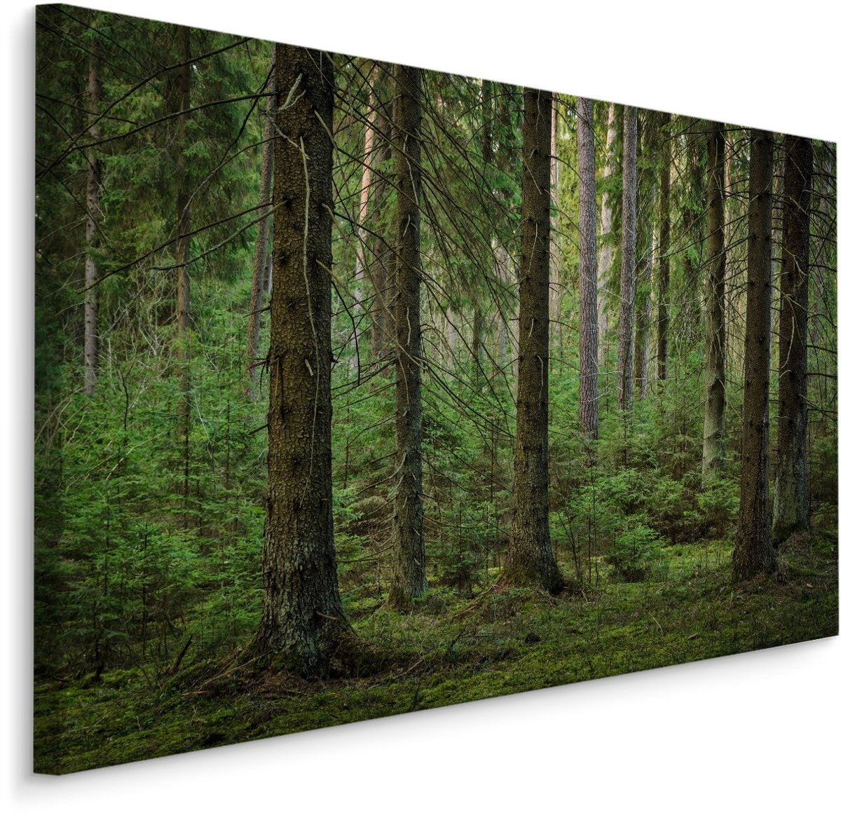 karo-art Schilderij - Het Bos, Groen, 5 maten, Premium Print Multikleur