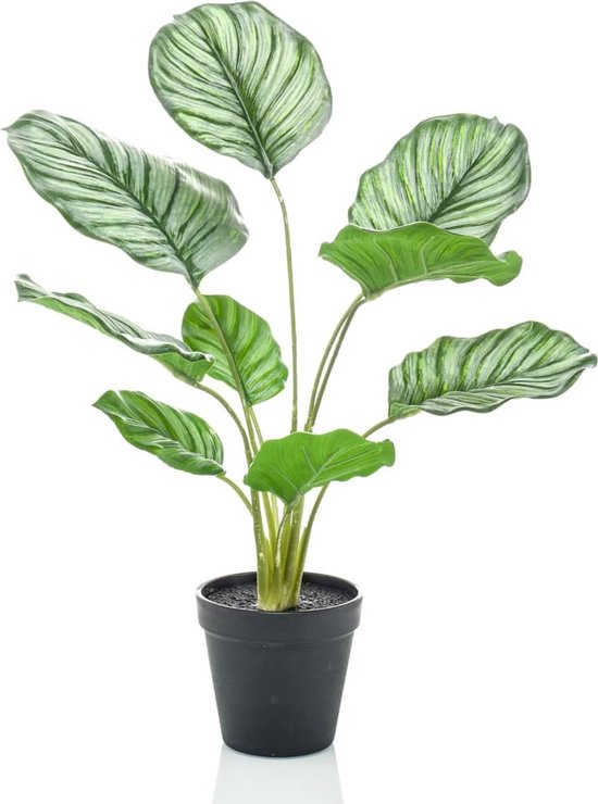 Emerald Kunstplant in pot calathea orbifolia 45 cm