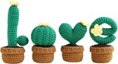 Ensemble de crochets tout-en-un | Kit de crochet LOVE Cactus | Meilleur cadeau de fête | Cadeau de fête des mères| Instruction vidéo en anglais | bricolage fait main | Kits de crochetage pour débutants