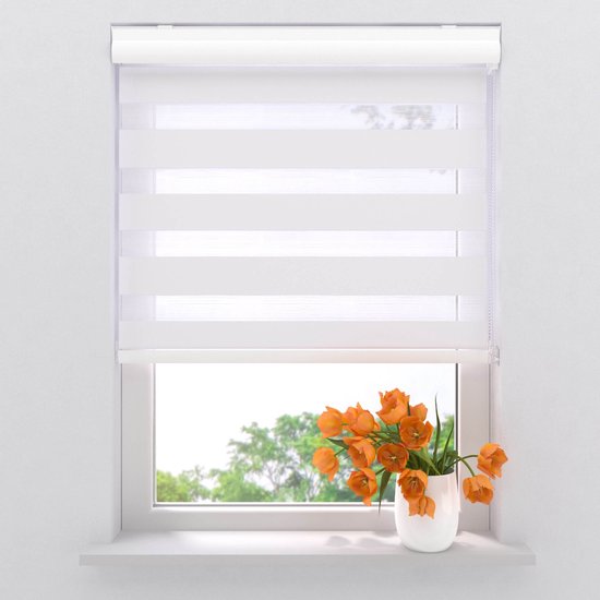 Duo Roller Blind Splendid Translucent White 50 x 175 cm