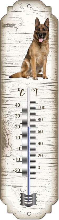 Thermomètre blanc imitation bois, orné d'un berger allemand et gradué en degrés Celsius et Fahrenheit.