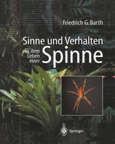 Sinne und Verhalten aus dem Leben einer Spinne