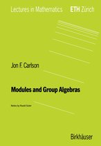 Modules and Algebras