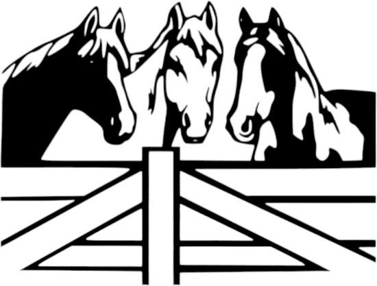 Djemzy - muurdecoratie woonkamer - wanddecoratie - hout - dieren - zwart -Paarden achter hek - MDF 6 mm