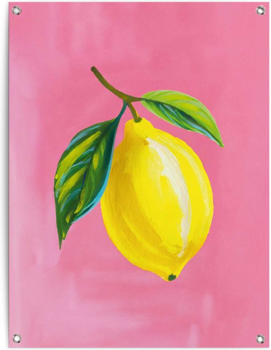 Tuinposter Lemon on Pink 80x60 cm
