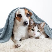 huisdierdeken voor hond of kat, zachte afwerking, zware winterdeken, fleece deken gezellig kattenbed, 100x120 cm