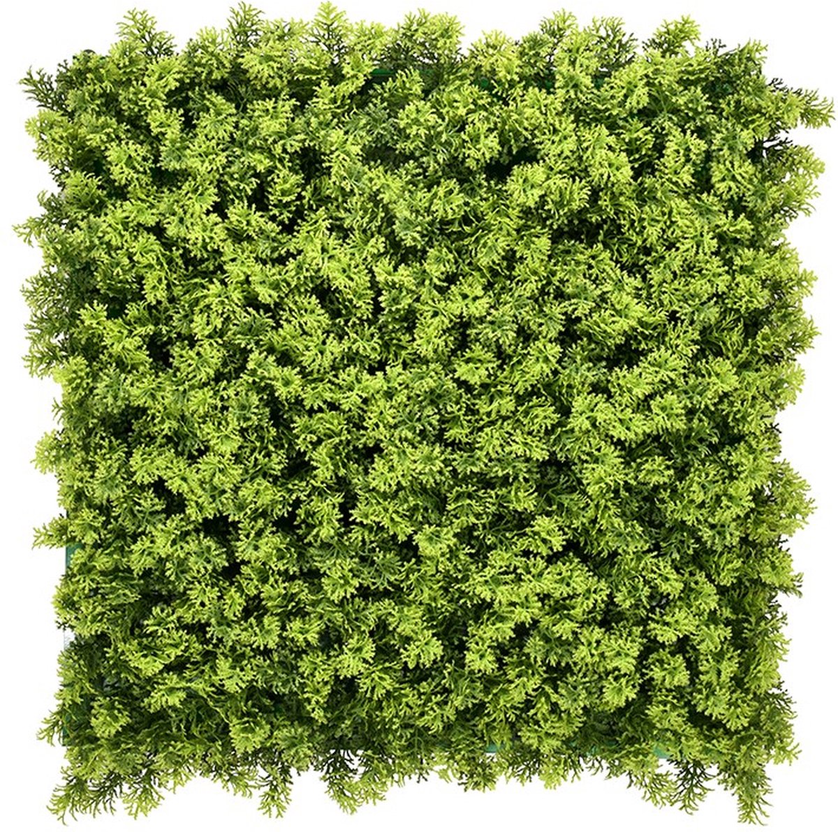 ZG Moss Mary – 100 x 100 cm - Kunstklimop - Wandpaneel - Balkonscherm
