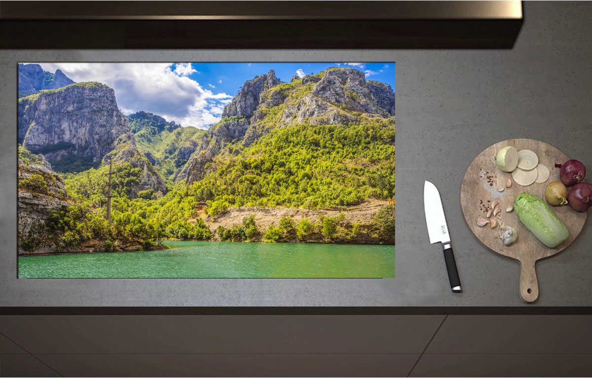 Inductieplaat Beschermer - Bos met Bomen op Rotsen aan het Water - 95x55 cm - 2 mm Dik - Inductie Beschermer - Bescherming Inductiekookplaat - Kookplaat Beschermer van Zwart Vinyl