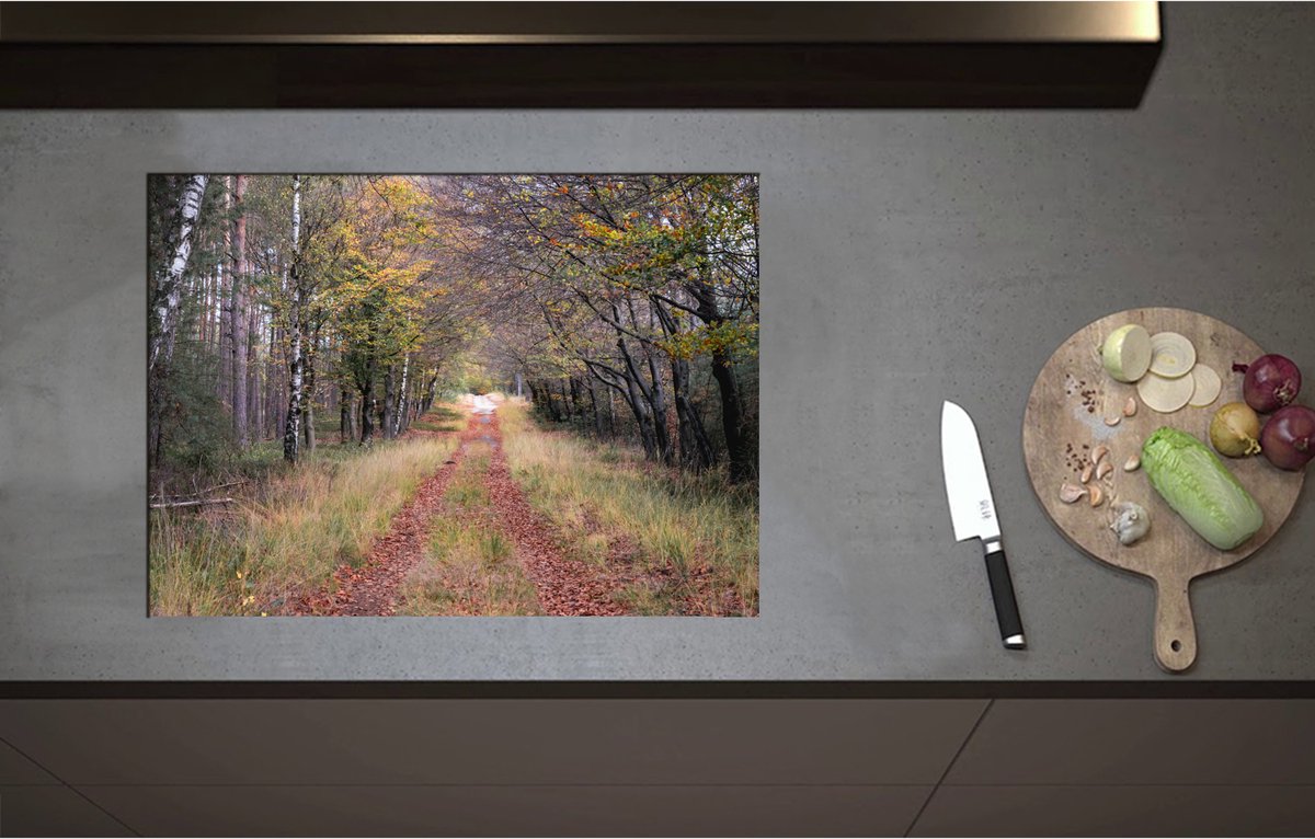 Inductieplaat Beschermer - Bospad in een Bos in Nederland - 70x51 cm - 2 mm Dik - Inductie Beschermer - Bescherming Inductiekookplaat - Kookplaat Beschermer van Wit Vinyl