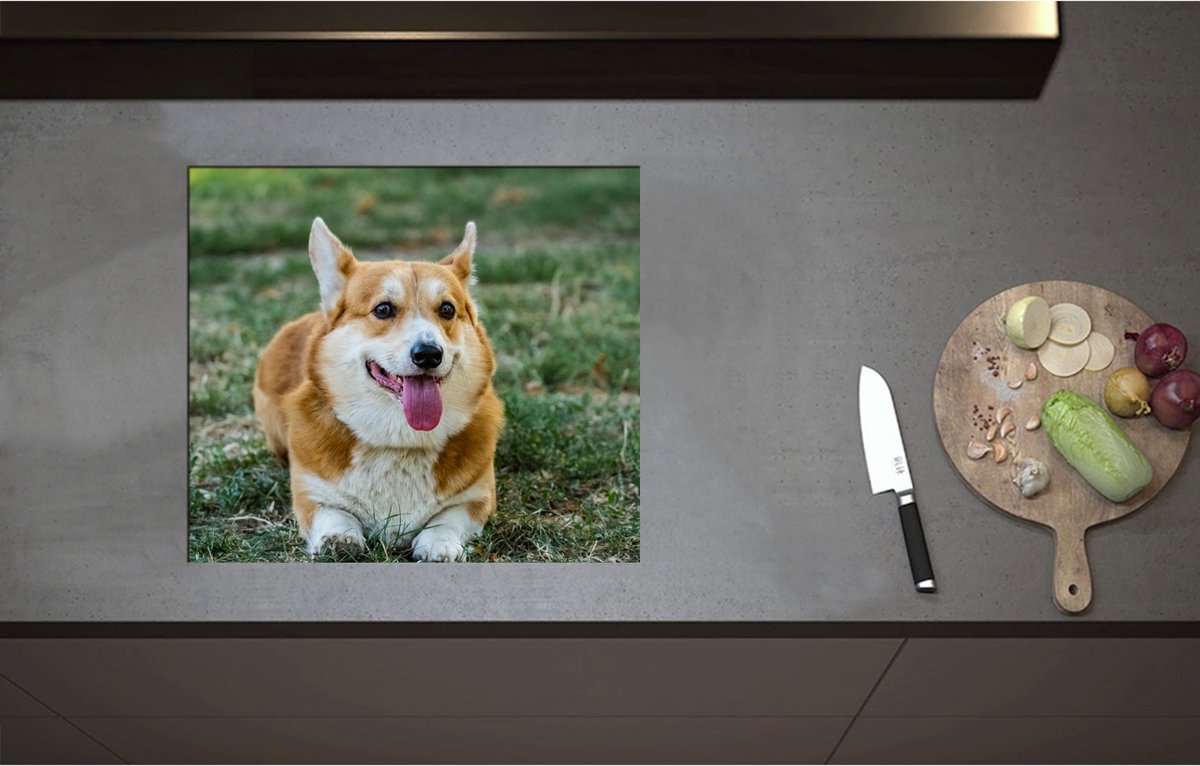 Inductieplaat Beschermer - Blije Corgi Hond met Uitstekende Tong in het Grasveld - 57x50 cm - 2 mm Dik - Inductie Beschermer - Bescherming Inductiekookplaat - Kookplaat Beschermer van Zwart Vinyl