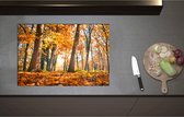 Inductieplaat Beschermer - Bos in de Herfst vanaf Kikkerperspectief - 75x51 cm - 2 mm Dik - Inductie Beschermer - Bescherming Inductiekookplaat - Kookplaat Beschermer van Wit Vinyl