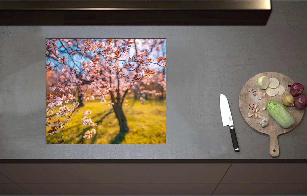 Inductieplaat Beschermer - Bloeiende Bloesem aan Boom in het Park - 59x52 cm - 2 mm Dik - Inductie Beschermer - Bescherming Inductiekookplaat - Kookplaat Beschermer van Zwart Vinyl