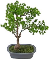 Greenmoods Kunstplanten - Kunstplant - Bonsai Juniper - Zijde - 40 cm