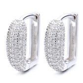 Paragon Cat.925 sterling silver studded zirconia earrings female fashion