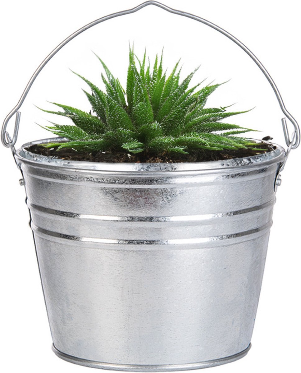 Goedkoopste Esschert Design Emmer/plantenpot/bloempot - zink - zilver - D25 x H19 cm