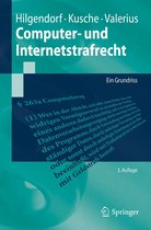Springer-Lehrbuch - Computer- und Internetstrafrecht