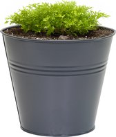Mega Collections plantenpot/bloempot Bob - zink - donkerblauw - D11 X H10 cm