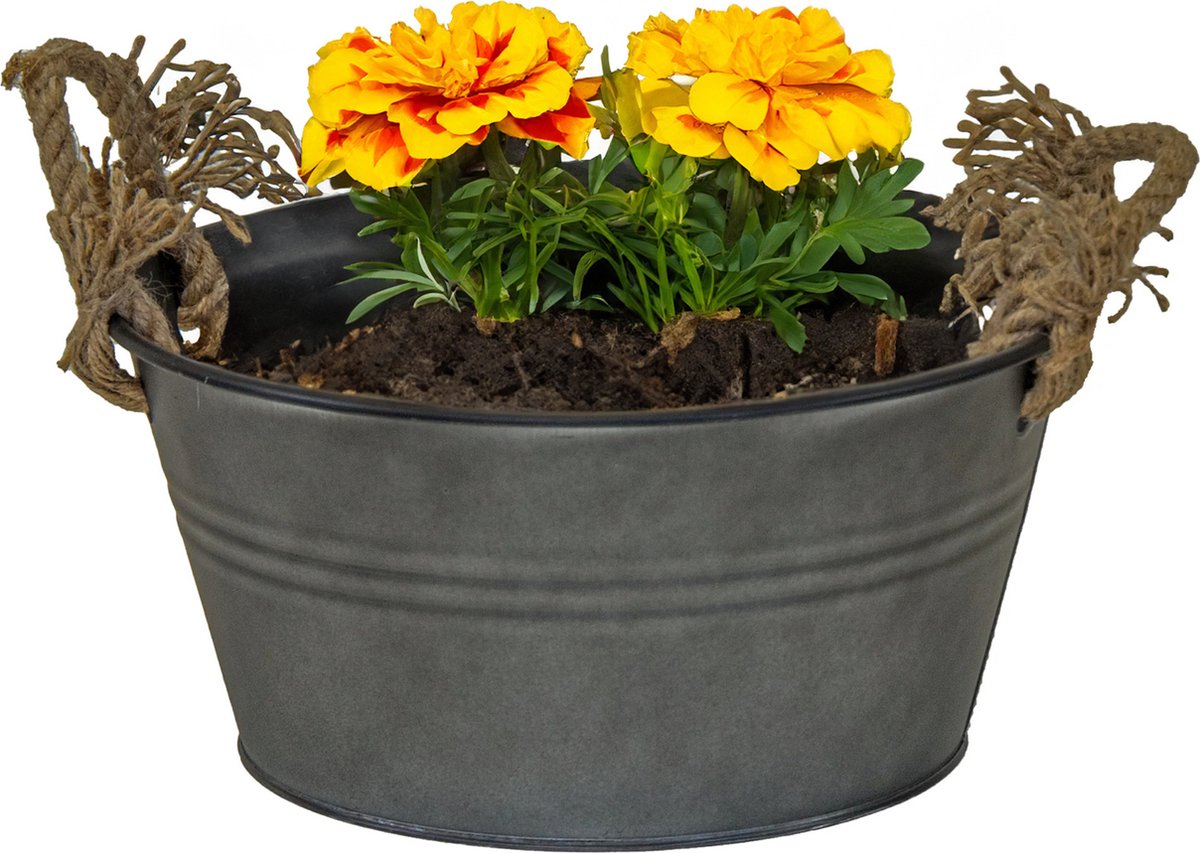 Goedkoopste Mega Collections Teil/plantenpot/bloempot Old Rope - zink - antraciet - D26 X H12.5 cm