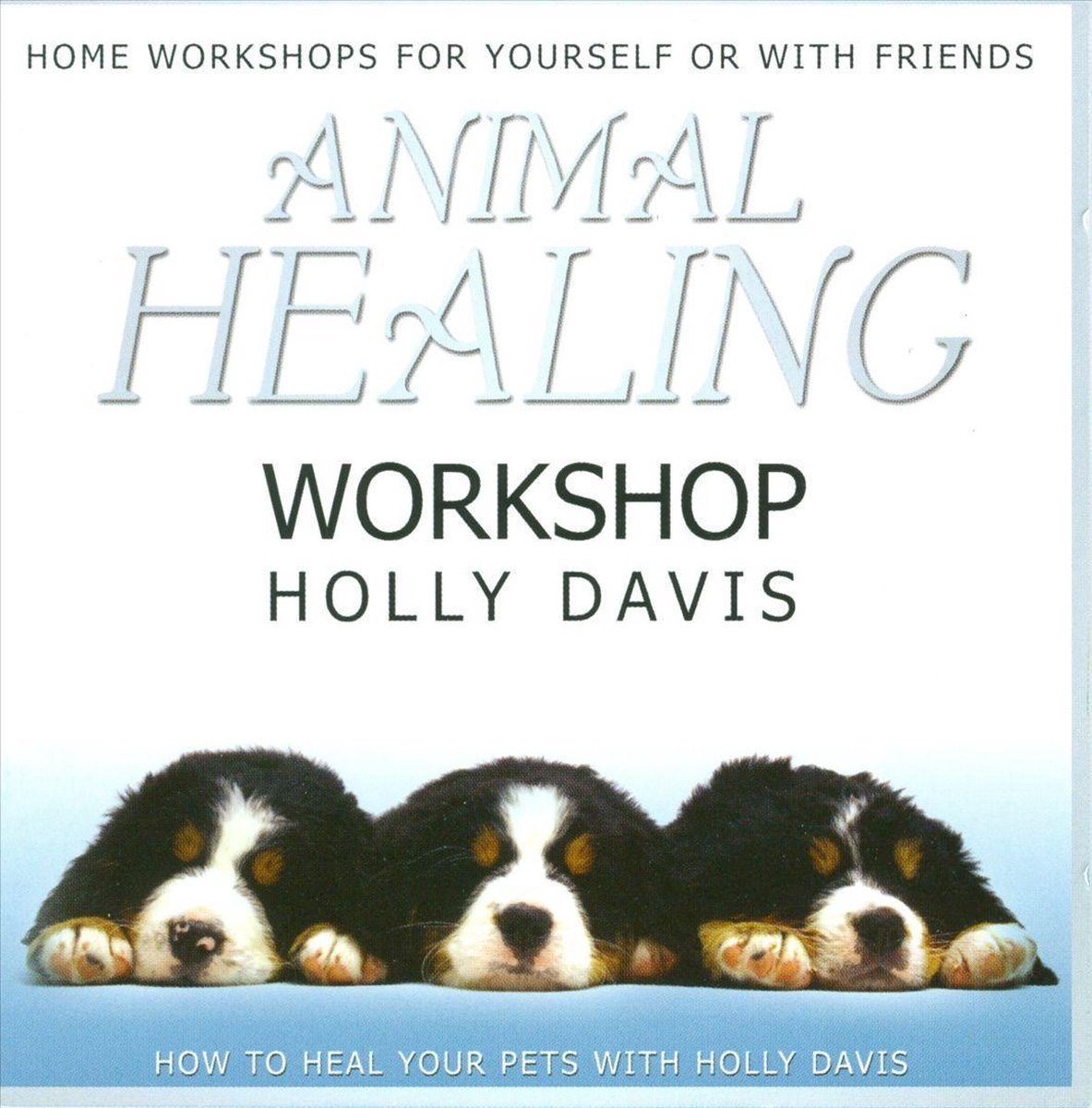 Holly Davies - Animal Healing Workshop (CD)