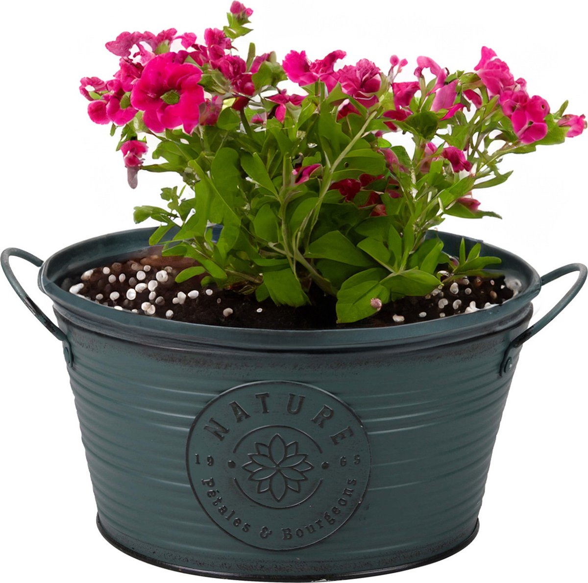 Goedkoopste Sunnydays Teil/plantenpot/bloempot - zink - rond - petrolblauw - D25 x H12 cm
