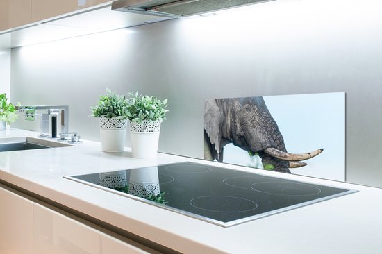 Spatscherm keuken 70x30 cm - Kookplaat achterwand Olifant - Dieren - Grijs - Natuur - Muurbeschermer - Spatwand fornuis - Hoogwaardig aluminium