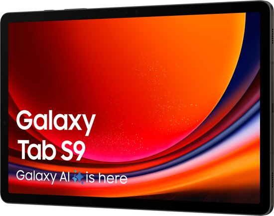 Samsung Galaxy Tab S9 - WiFi - 128GB - Graphite - Dynamic AMOLED