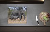 Inductieplaat Beschermer - Babyolifant drinkend bij Moederolifant tussen Hoge Droge Grassen - 57x51 cm - 2 mm Dik - Inductie Beschermer - Bescherming Inductiekookplaat - Kookplaat Beschermer van Zwart Vinyl