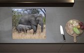 Inductieplaat Beschermer - Babyolifant drinkend bij Moederolifant tussen Hoge Droge Grassen - 60x55 cm - 2 mm Dik - Inductie Beschermer - Bescherming Inductiekookplaat - Kookplaat Beschermer van Zwart Vinyl