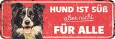 D&d Home - Waakbord - Hond - Waarschuwingsbord Collie De 40x13x0,3cm Rood - 1st